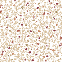 Elizabeth  Pattern - Autumn Colourway