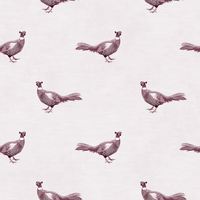 Albert  Pattern - Summer Colourway