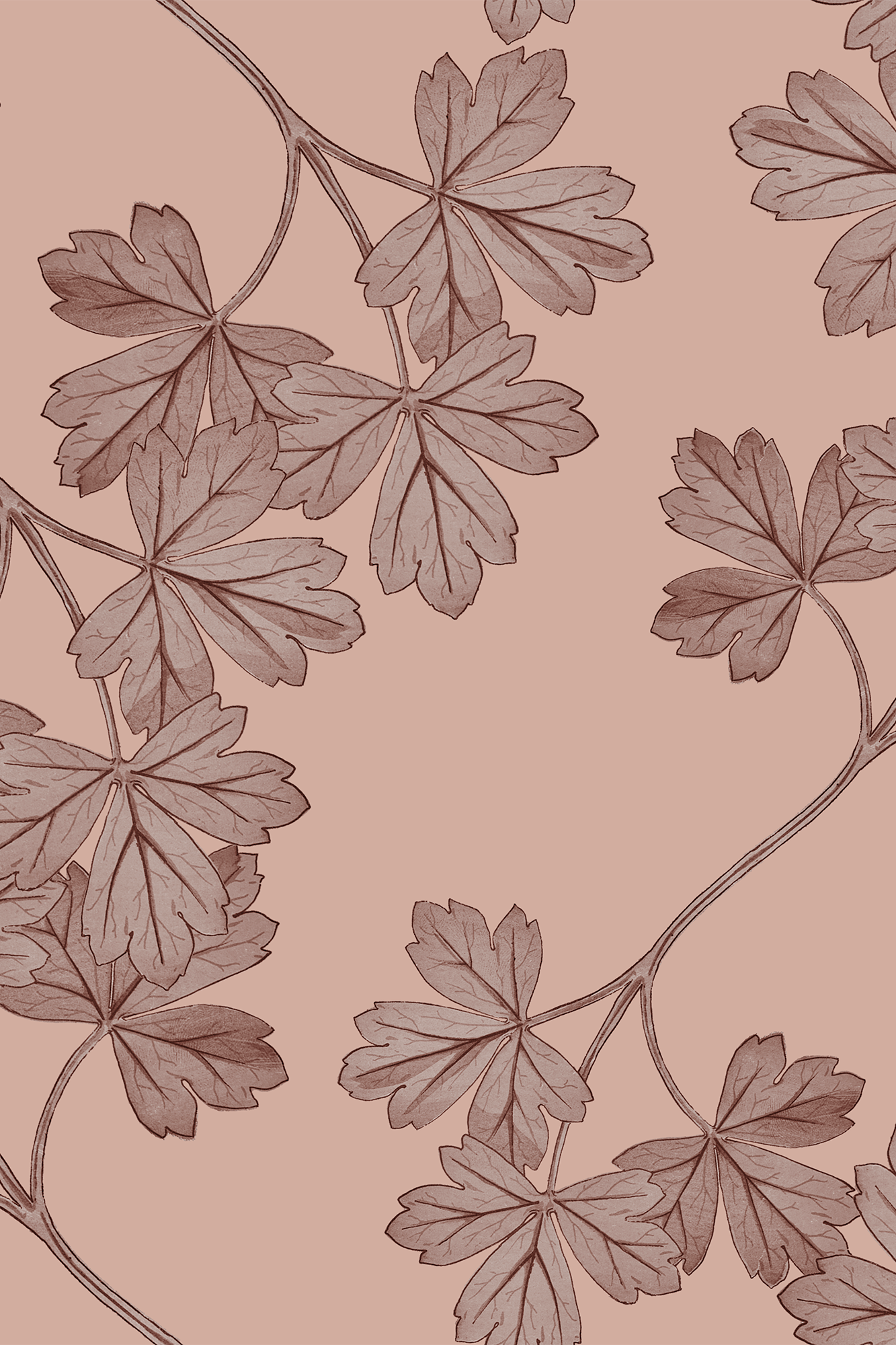 Bridget Tuscany Columbine Foliage Trail Wallpaper - Traditional Wallpaper (Paste-the-Wall)