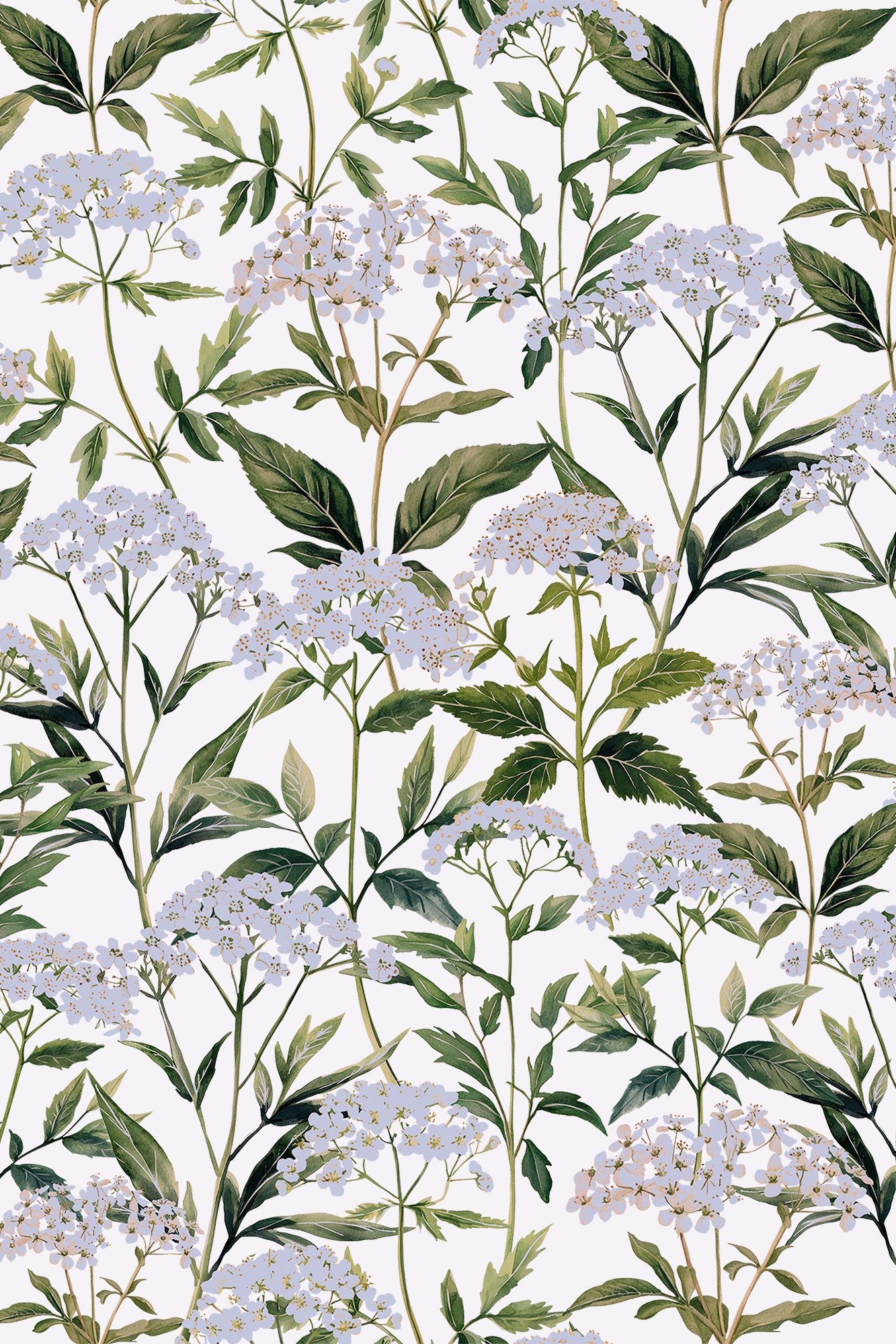 Heidi White & Green Wild Hydrangeas Floral Wallpaper - Removable Wallpaper (Peel & Stick)