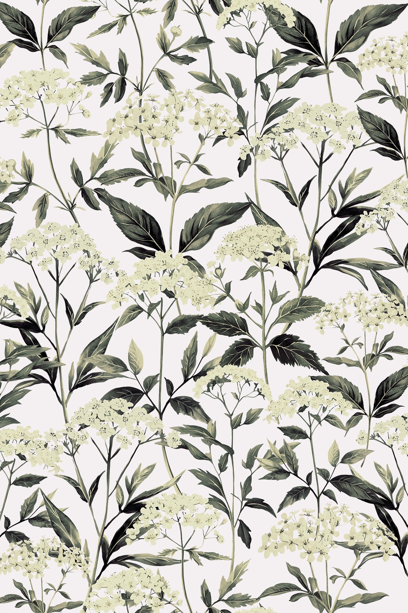 Heidi Lime Wild Hydrangeas Floral Wallpaper - Removable Wallpaper (Peel & Stick)