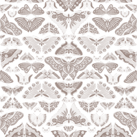 Iris  Pattern - Summer Colourway