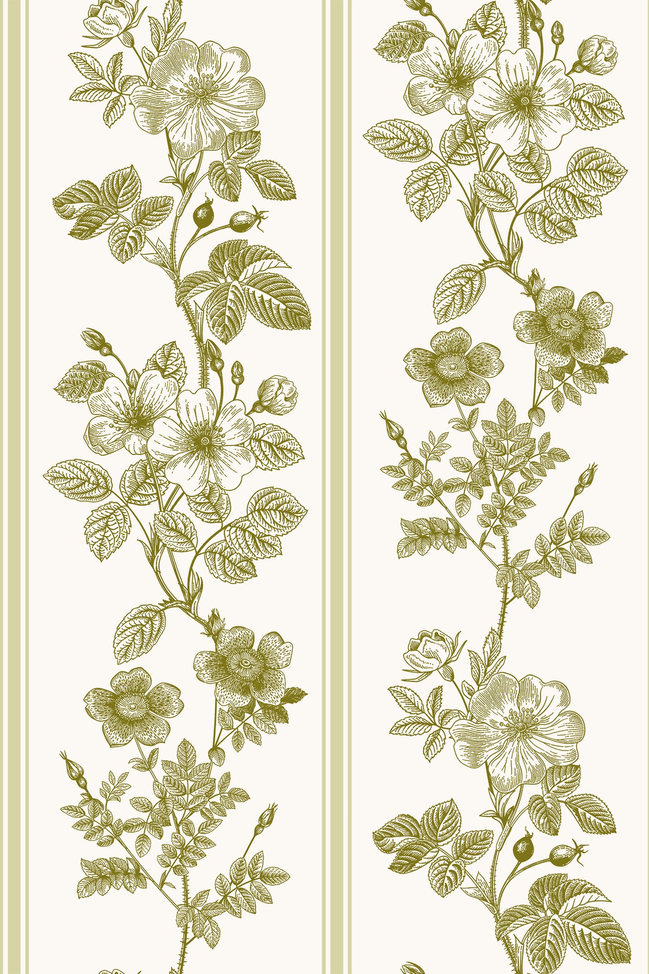 Delilah Green on White Vintage Rose Striped Wallpaper - Removable Wallpaper (Peel & Stick)