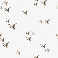 Ernest  Pattern - Spring Colourway