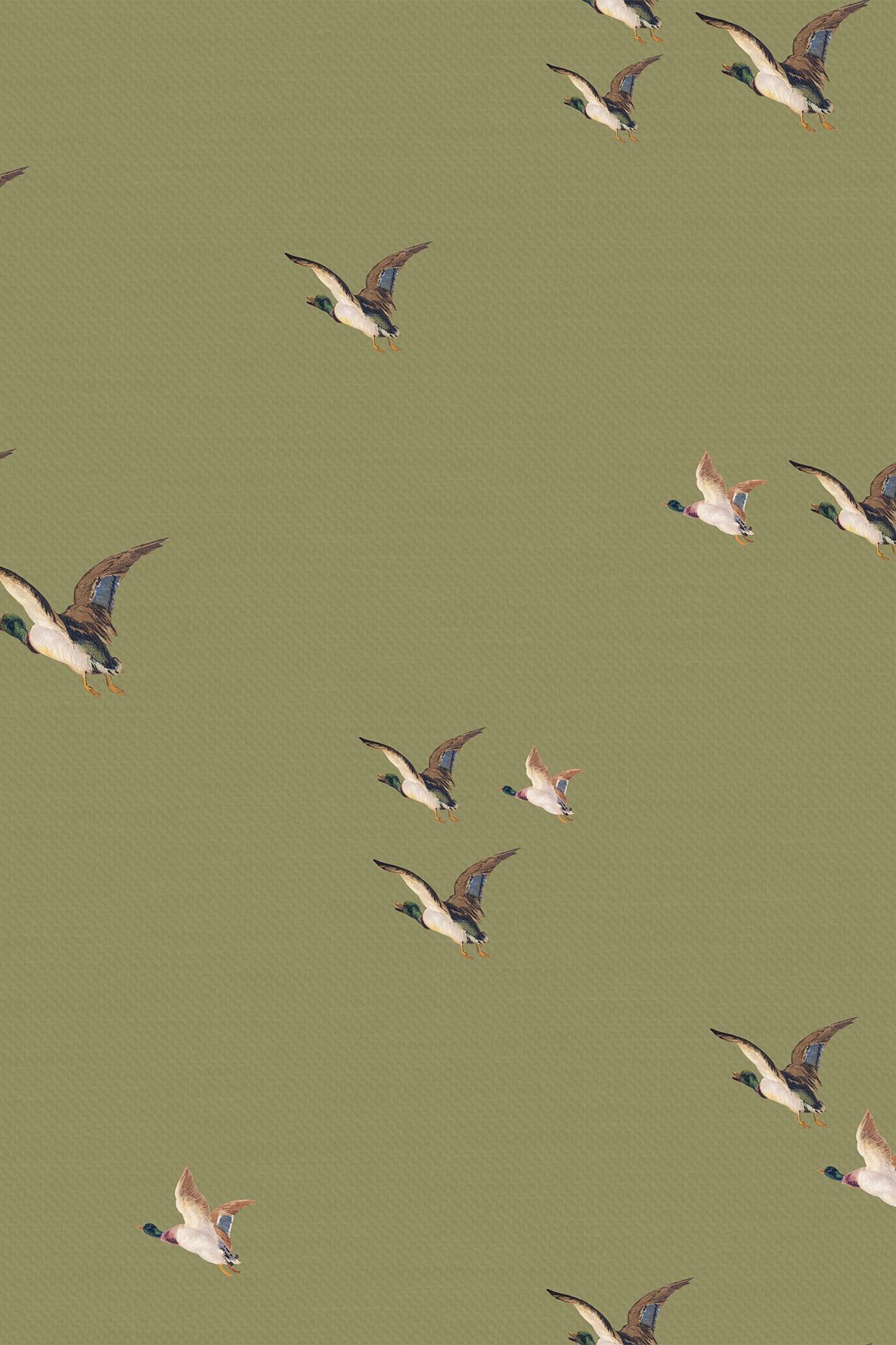 Ernest Green Country Flying Mallards Wallpaper - Removable Wallpaper (Peel & Stick)