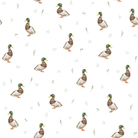 Finley  Pattern - Spring Colourway