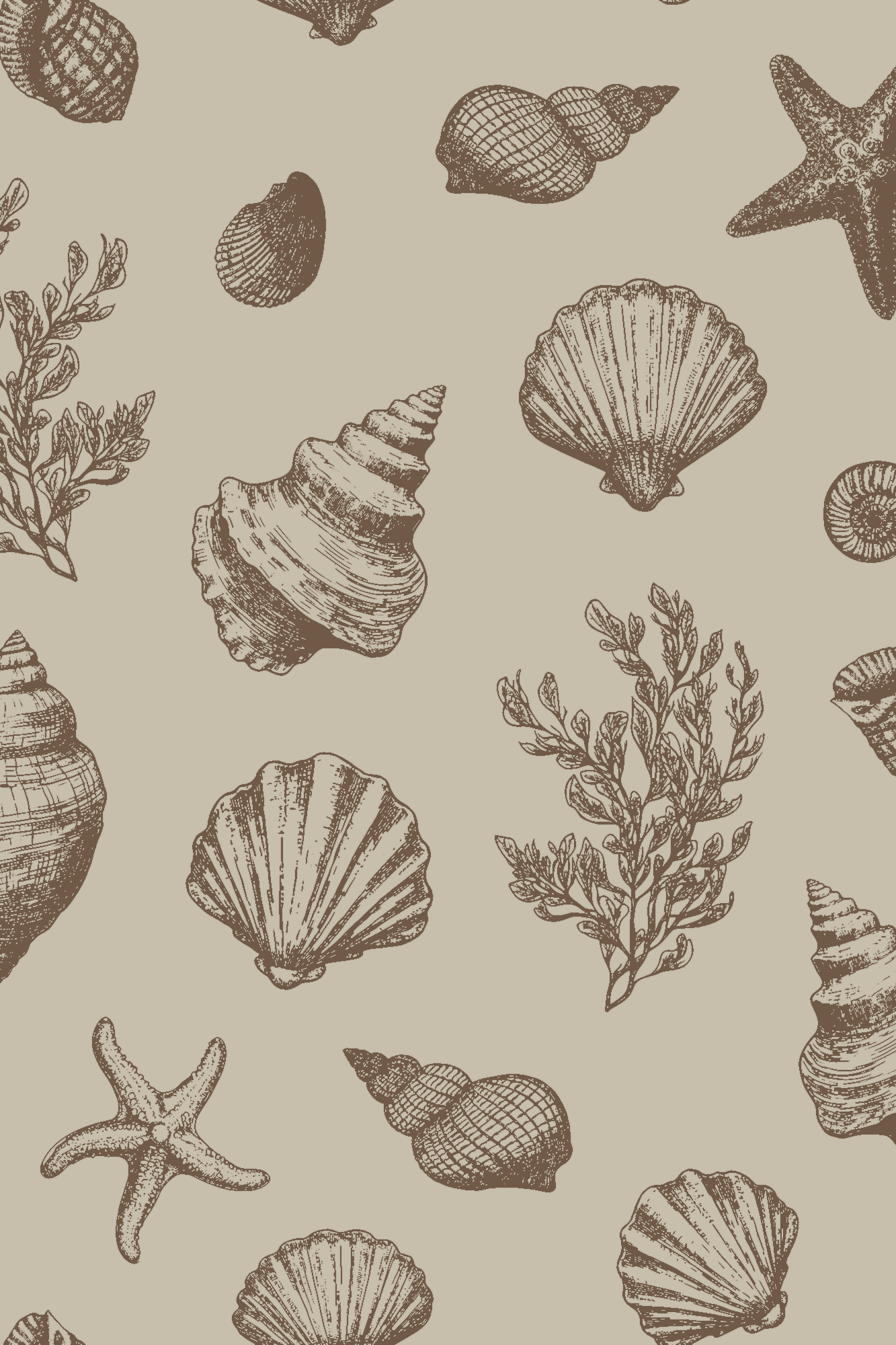 Rochelle Brown Sketched Sea Shells Vintage Wallpaper - Removable Wallpaper (Peel & Stick)
