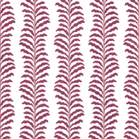 Celine  Pattern - Summer Colourway