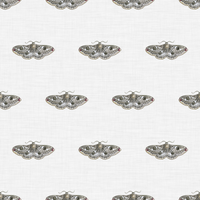 Hector  Pattern - Winter Colourway